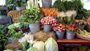 The Art of Mindful Cooking: Sustainability in Your Kitchen